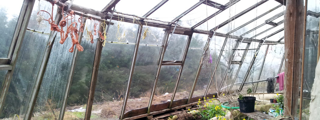 Lammas greenhouse