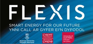 Flexis logo